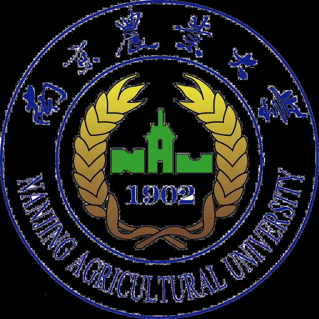 合作高校
